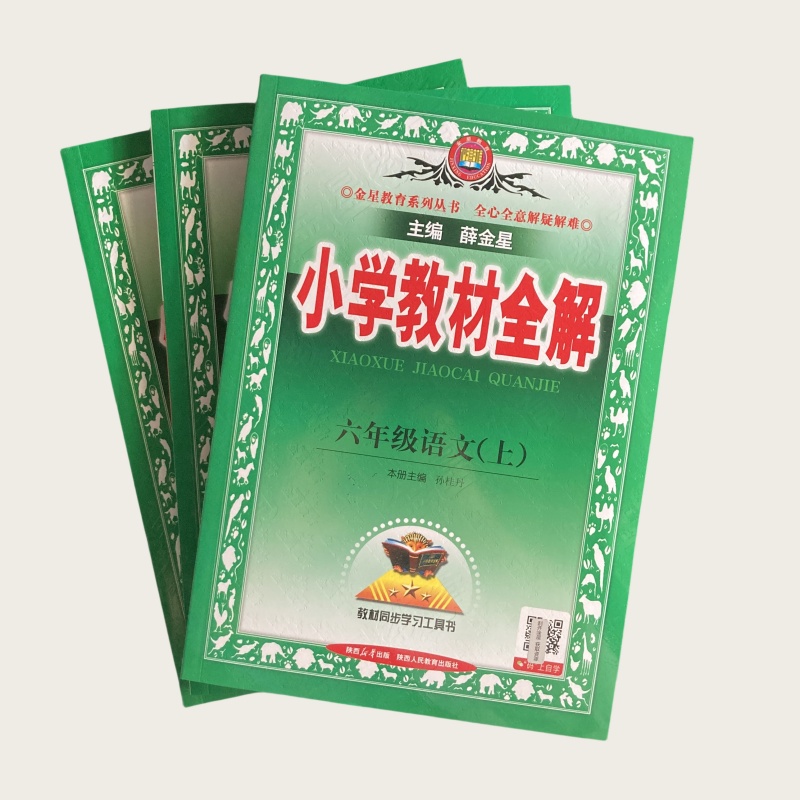 25秋 金星 小学教材全解 6年级